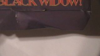 curse of the black widow 1976 continental big box dan curtis horror mystery rare 3