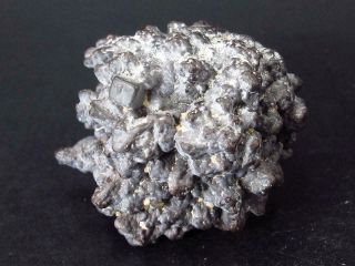 Very Rare 1.  6 " Z Stone Limonite After Marcasite From Sahara - 57 Grams