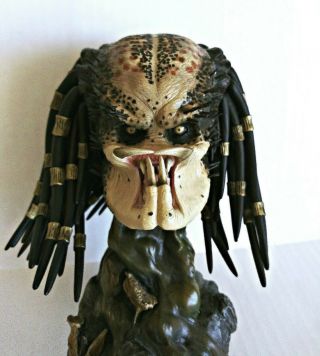 Head Only From Sideshow Predator Jungle Hunter Maquette Statue Figure