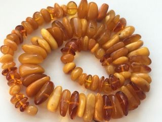 Rare Natural Antique Baltic Vintage Amber Old Butterscotch Beads Necklace 61 Gr