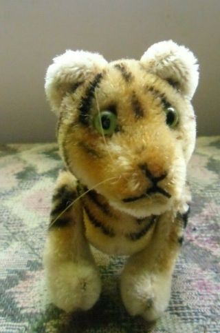 Steiff Tiger Standing Rare Vintage 14 Cm 5 " Tall,  Mohair Jointed