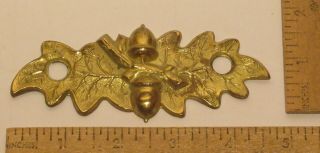 Double Acorn And Leaf Brass Back Plate For Drawer Pull - One Back Plate