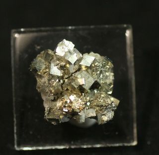 Sharp Lustrous Pyrite Crystals: Homestake Mine,  Lead South Dakota - Rare