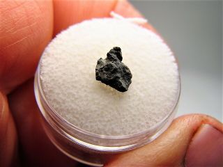 One Of A Kind Rare Class Fantastic Nwa 8534 Cm1/2 Meteorite.  165 Gms