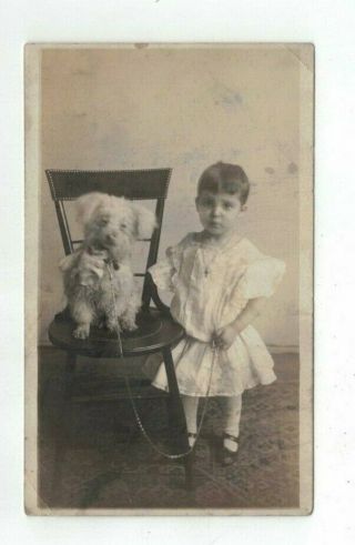 Antique Real Photo Post Card Unidentifed Child With Little Dog On A Chair