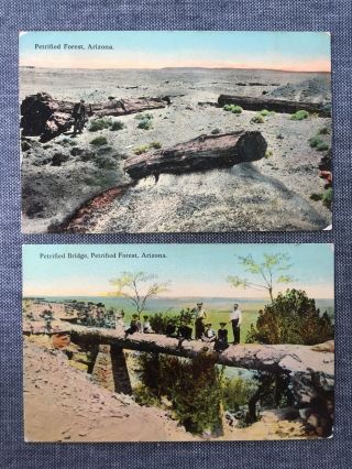 2 Antique Postcards Of The Petrified Forest,  Arizona 1915