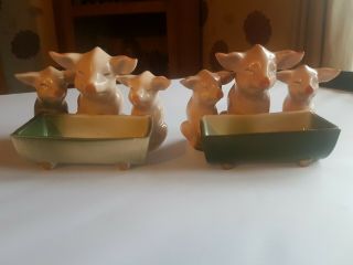 Rare Victorian Pig Fairing " 3 Pigs Looking In A Empty " Troth German Porcelain