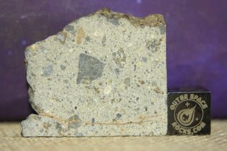 Nwa 8362 Hed Howardite Meteorite 6.  2 Part Slice Of Rare Achondrite With Metal