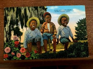 Antique Postcard Black Americana Three Chocolate Drops Down In Sunny Dixie