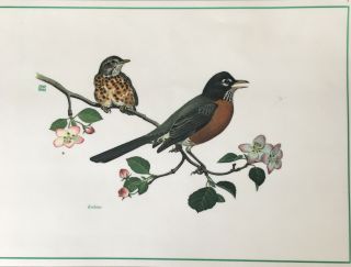 6 Vintage Laminated & Reversible Bird Placemats By Chuck Ripper,  1971 17”x12”