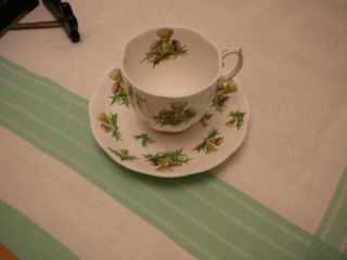 Vintage Teacup And Saucer,  Royal Albert,  Highland Thistle