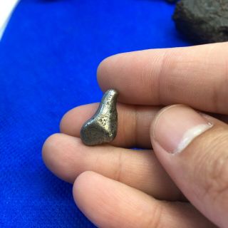 NWA 859 (Taza) 4.  2g,  ungrouped iron meteorite,  rare type,  bullet 3