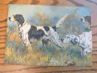 Vintage 1938 Hunting Dog English Setter Litho Art Print Bills Covey Usa