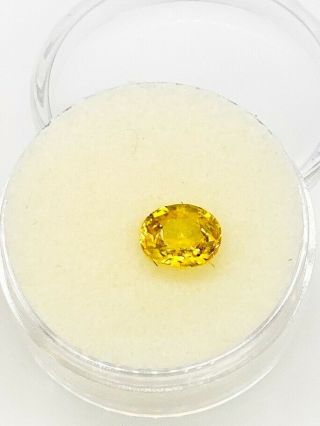 Natural $300 1.  50ct Oval Cut Yellow Sapphire Loose Gem Rare