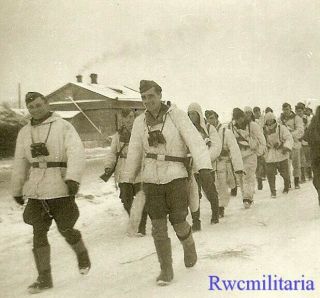 Rare Luftwaffe Field Division Truppe In Camo On Move In Russian Winter (2)