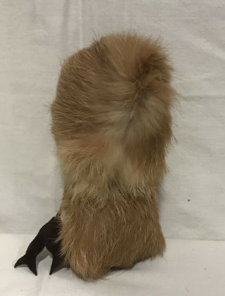 Cute Vintage Eskimo Doll With Real Fur 3