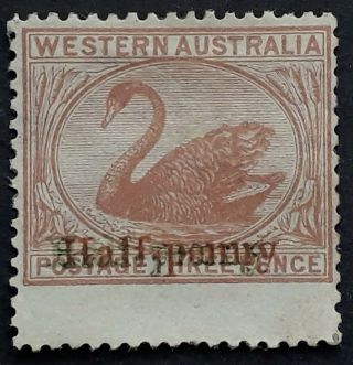 Rare 1895 Western Australia Halfpenny Red&green Surch On 3d Cinnamon Swan Stamp