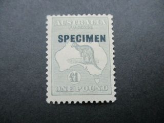 Kangaroo Stamps: £1 Grey C Of A Watermark - Rare (c165)