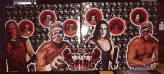Wcw The Evolution Of Sting 6 Action Figure Set By Toybiz