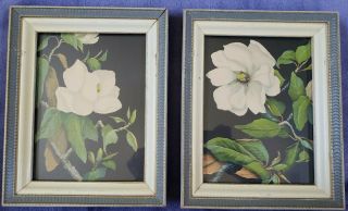 Magnolia Floral Framed Art Prints Set Of 2 Retro Vintage 8 " X10 "