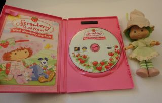 Strawberry Shortcake Lime Chiffon American Greeting Doll Clothes & DVD 3