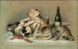 Three Cats,  With Two Playing And One Sipping From A Bowl Antique Postcard Vintage