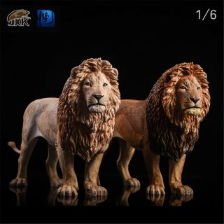 Jxk 1/6 Africa Lion Figure Panthera Leo Wild Animal Savannah King Collector Toy