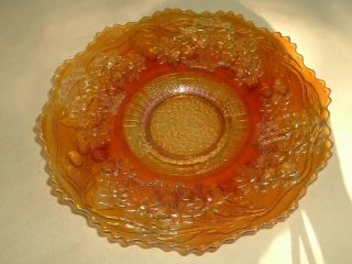 Rare Fenton Orange Tree Marigold Carnival Glass 9 " Plate Bearded Berry Exterior