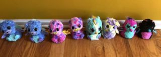 8 Hatchimals,  3 Birds And,  4 Others.  1 Rare Hatchimal.  Gently.