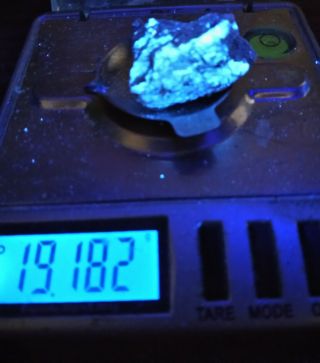 19 Gram Rare Scheelite Crystal Uv Specimen Atolia Tungsten Nugget