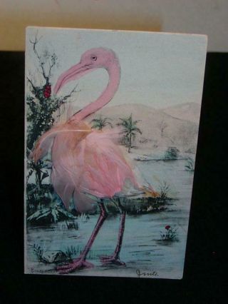 Antique Postcard - C1905 Era,  Florida,  Real Feathers " Pink Flamingo " Bird
