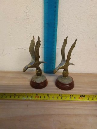 Vintage Decorative Brass Eagle Figures On Wooden Bases