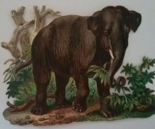 L Antique Emboschromo Victorian Scrap,  Indian Elephant 16x12cms.  Vgc