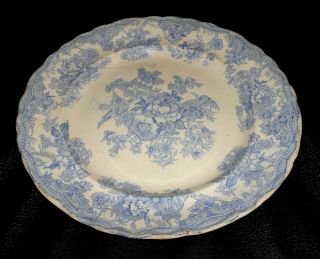 Antique T Rathbone & Co Blue & White Asiatic Pheasants Pattern Dinner Plate