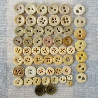 Assortment Of 58 Civil War Era Bovine Bone Buttons