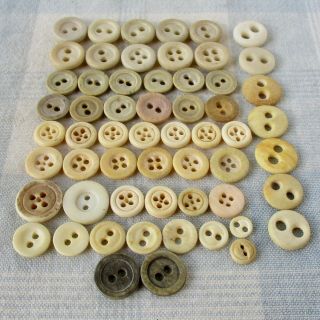 Assortment of 58 Civil War Era Bovine Bone Buttons 2
