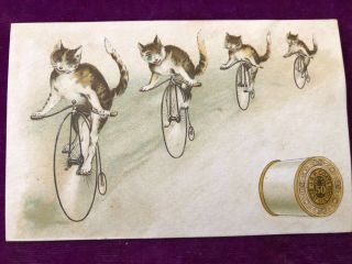 Antique Victorian Trade Card J & P Coats Line Of Cats Riding Bicycles