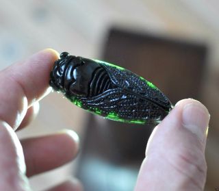 Fine Chinese Exquisite Black & Green Jade Hand - Carved Pendant Cicada