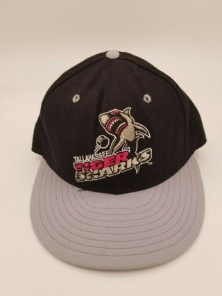 Vintage Tallahassee Tiger Sharks Era Fitted Hat Cap Echl 90 