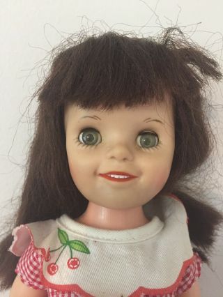 Vintage Angela Cartwright Linda Williams Plastic 15” Doll,  Make Room For Daddy