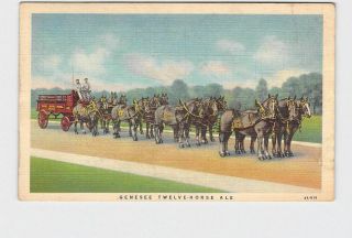 Antique Postcard Advertising Genesee Twelve Horse Ale Brewing Company Rochester