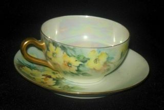 Antique Hand Painted Tea Cup Saucer Wild Yellow Roses