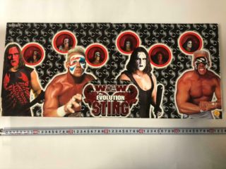 Toy Biz Sting Wcw The Evolution Of Sting 6 Action Wrestling Figures Box Set