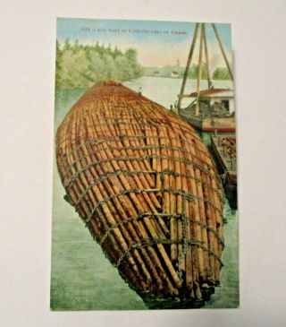 Antique Log Raft Of 8,  000,  000 Feet Of Timber Postcard L@@k