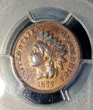 1877 Indian Head Cent 1C RARE KEY DATE PCGS XF Detail 2