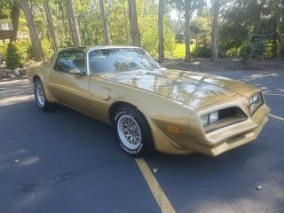 1978 Pontiac Trans Am Gold Edition Trans Am Rare 5 Day