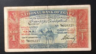 Rare Egypt One 1 Pound 1924 Camel P18 Vf
