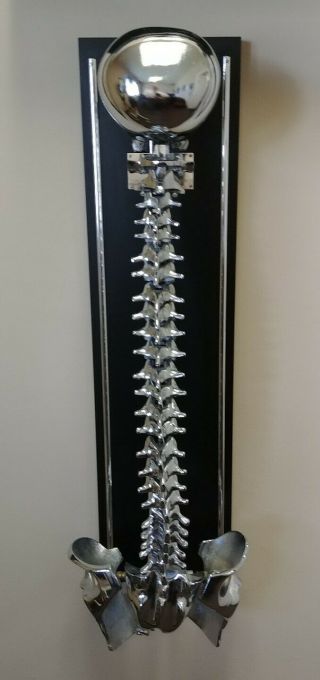 Chiropractic Dr.  Fleets Spinal Demonstrator Model 9 Rare