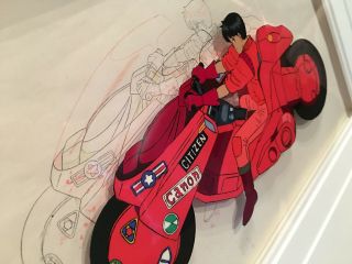Ultra Rare Akira Production Cel Kaneda Bike 1988 Otomo Animation Art,  Douga