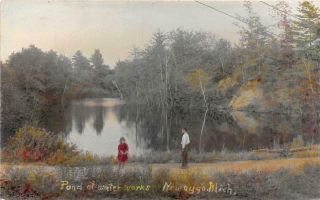 Rppc Newaygo Mi 1904 - 18 Rare Tinted Scene @ Water Pond Vintage Mich 601